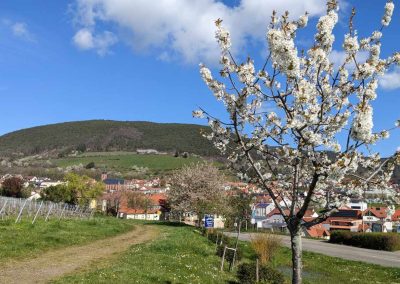 Bild der Umgebung von St. Martin